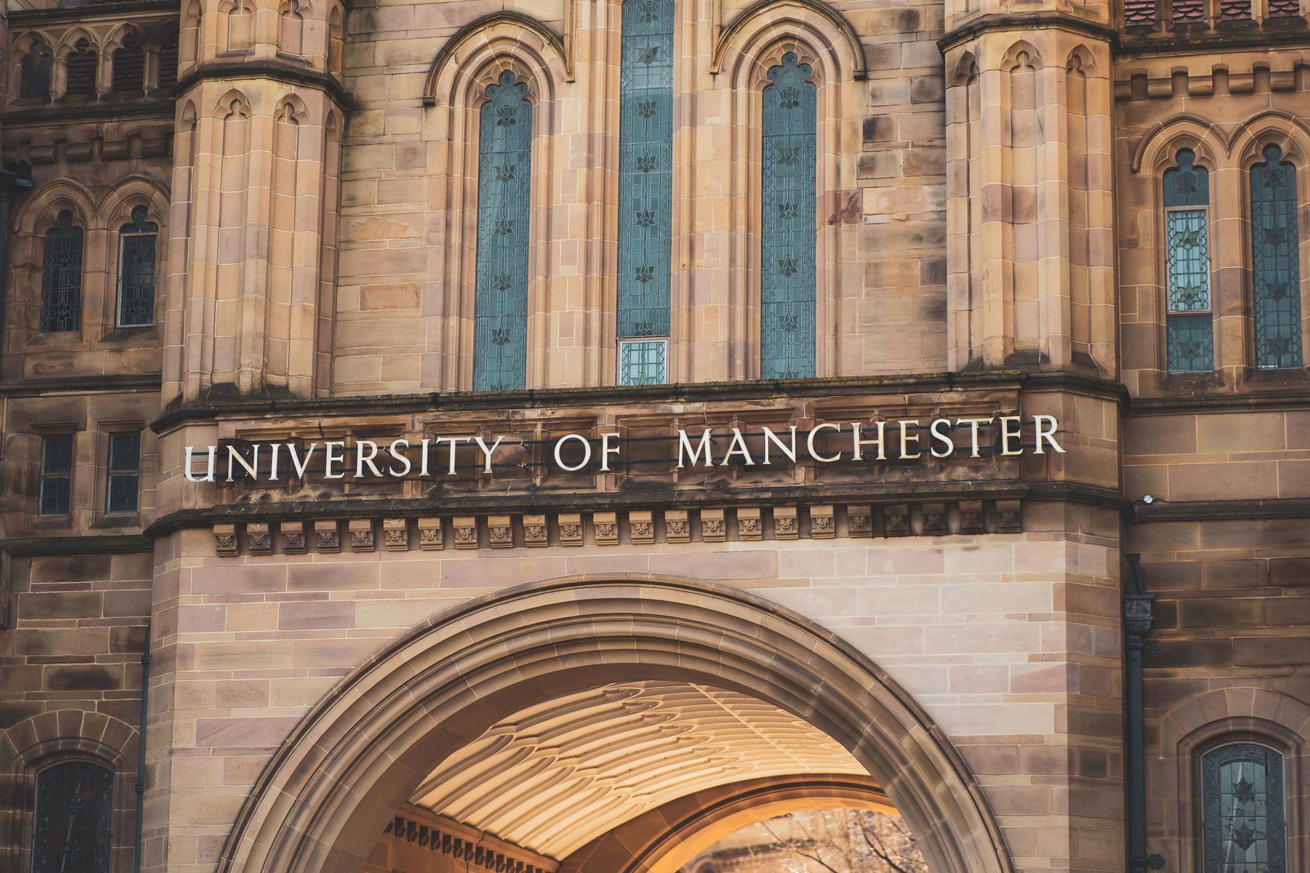The Real Limits of Free Study-Abroad Application Assistance in 2026